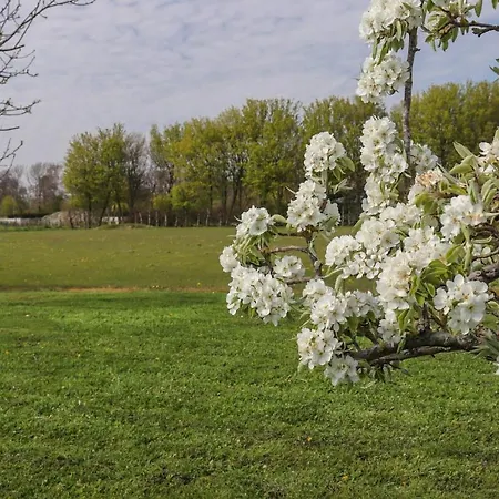 Buutegeweun Sommelsdijk