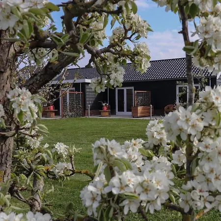 Panzió Buutegeweun Sommelsdijk