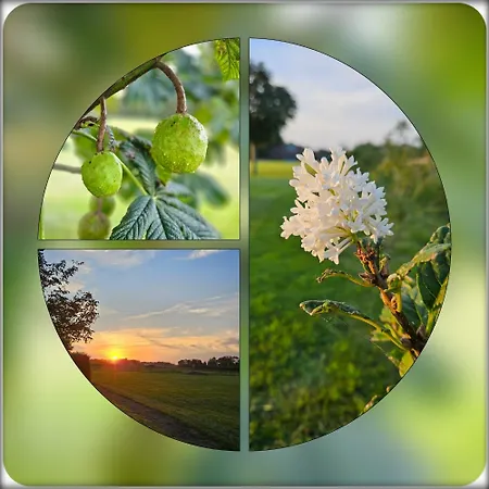 Buutegeweun לינה וארוחת בוקר 3*