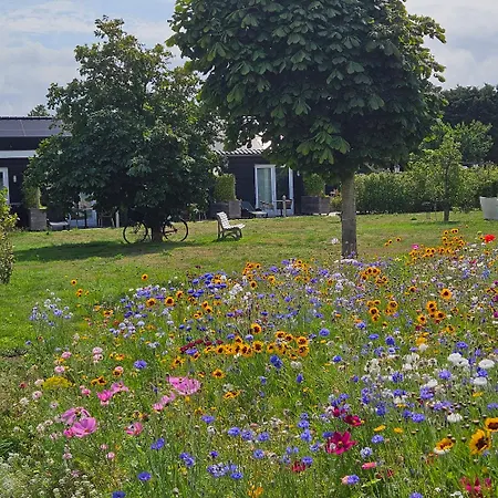 לינה וארוחת בוקר Buutegeweun 3*