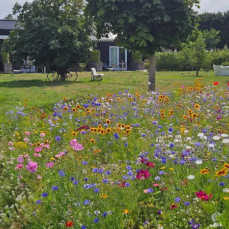 Buutegeweun 3* Sommelsdijk