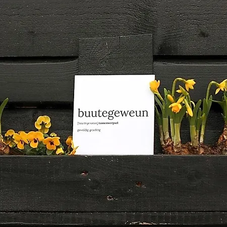 Buutegeweun 3*