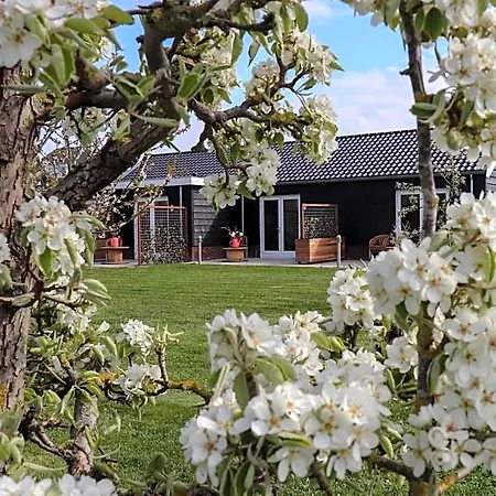 Buutegeweun 3* Sommelsdijk