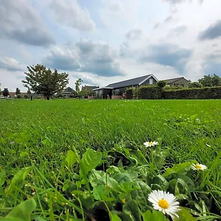 Buutegeweun Sommelsdijk