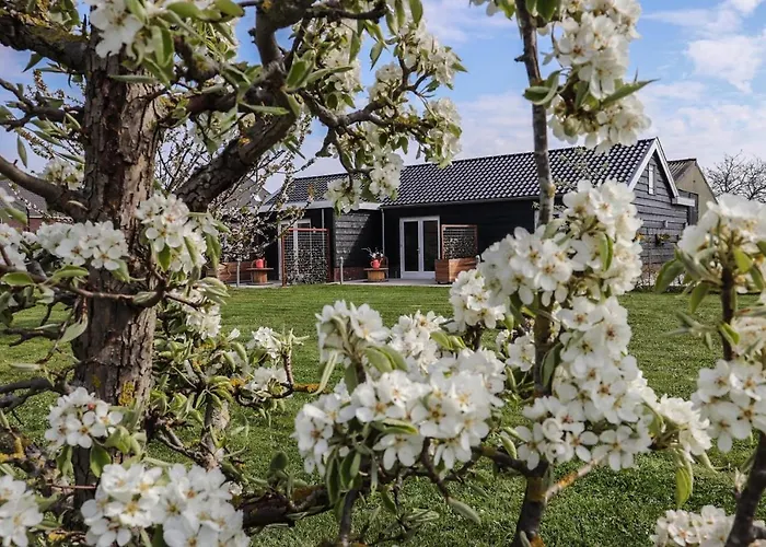 Buutegeweun Bed and breakfast Sommelsdijk