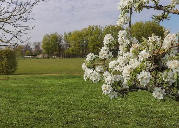 Buutegeweun Sommelsdijk