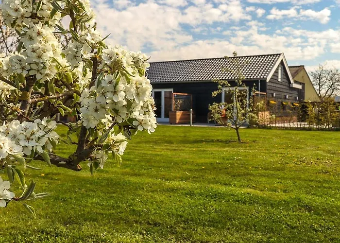 Bed and breakfast Buutegeweun 3*