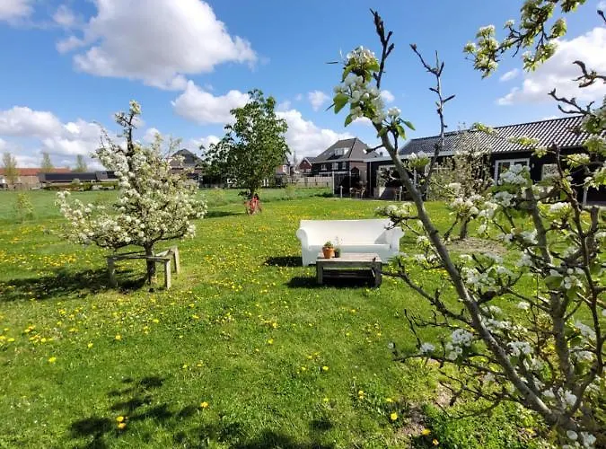 Bed and breakfast Buutegeweun 3*