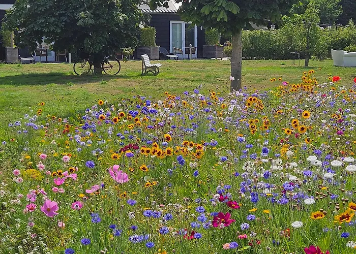 Buutegeweun 3* Sommelsdijk