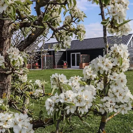 Buutegeweun Bed & Breakfast Sommelsdijk