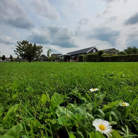 Bed & Breakfast Buutegeweun Sommelsdijk