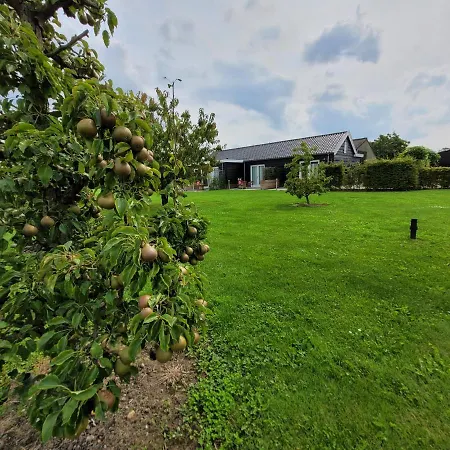 Buutegeweun Bed & Breakfast Sommelsdijk