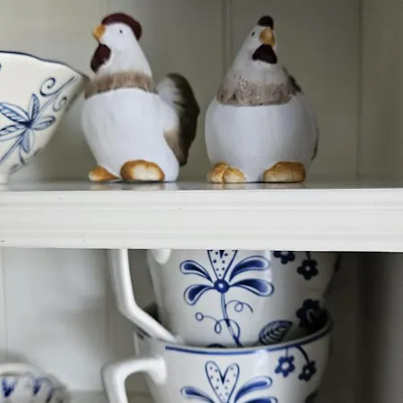 Bed & Breakfast Buutegeweun Sommelsdijk