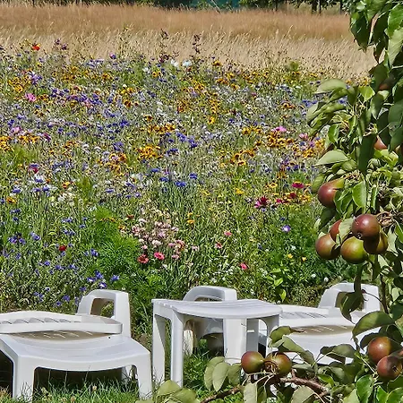 Buutegeweun Bed & Breakfast Sommelsdijk