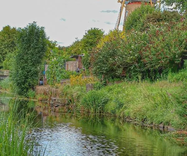 Buutegeweun 3* Sommelsdijk