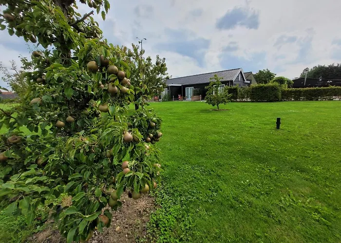 Buutegeweun B&B Sommelsdijk