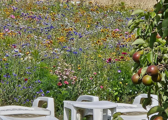 Buutegeweun B&B Sommelsdijk
